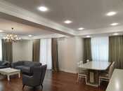 5 otaqlı yeni tikili - Şah İsmayıl Xətai m. - 230 m²