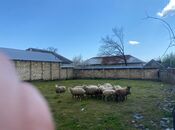 Продаётся  участок 5.6 сот, photo 6 from 8