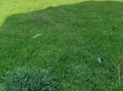 Продаётся  участок 6 сот, photo 7 from 8