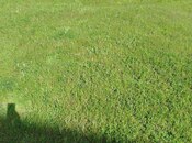 Продаётся  участок 6 сот, photo 5 from 8