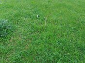 Продаётся  участок 6 сот, photo 8 from 8