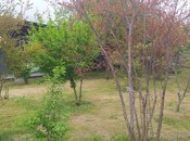 3 otaqlı həyət evi/bağ evi - Şəki - 80 m²