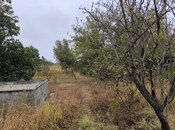 5 otaqlı həyət evi/bağ evi - Şəki - 100 m²