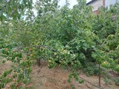 Продаётся 4-комн. дом/дача 100 м², пос. Мардакан, photo 7 from 8