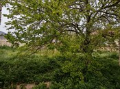 Torpaq - Binə q. - 5.5 sot