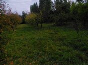 Torpaq - Xaçmaz - 37 sot