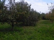 Torpaq - Xaçmaz - 37 sot