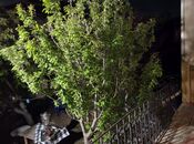5 otaqlı həyət evi/bağ evi - Mehdiabad q. - 132 m²
