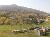 Torpaq - Şabran - 80 sot