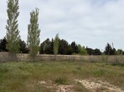 Участок - пос. Горадил - 6 сот