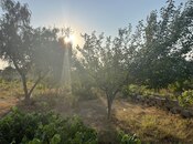 Продаётся  участок 12 сот, пос. Нардаран, photo 8 from 8