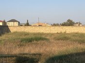 Продаётся  участок 12 сот, пос. Нардаран, photo 8 from 8