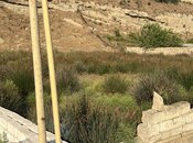 Продаётся  участок 12 сот, пос. Бинагади, photo 5 from 8