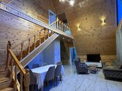 4 otaqlı həyət evi/bağ evi - Qəbələ - 500 m²
