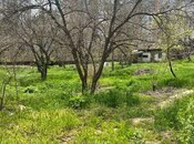 Torpaq - Şah İsmayıl Xətai m. - 24 sot