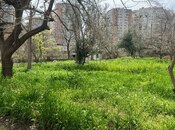 Torpaq - Şah İsmayıl Xətai m. - 24 sot