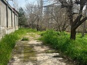 Torpaq - Şah İsmayıl Xətai m. - 24 sot