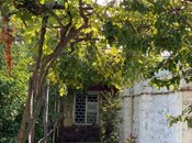 Продаётся 4-комн. дом/дача 135 м², пос. Новханы, photo 4 from 8