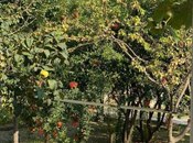 Продаётся 4-комн. дом/дача 135 м², пос. Новханы, photo 7 from 8