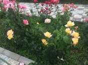 Продаётся 5-комн. дом/дача 170 м², photo 6 from 8