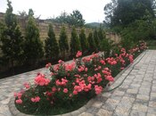 5 otaqlı həyət evi/bağ evi - Quba - 170 m²