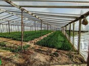 Продаётся 4-комн. дом/дача 80 м², пос. Тюркан, photo 7 from 8