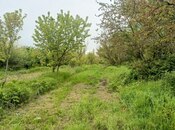 Torpaq - Xaçmaz - 180 sot