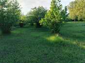 Продаётся  участок 50 сот, photo 8 from 8