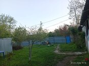 Torpaq - İsmayıllı - 40 sot