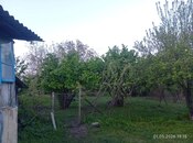 Torpaq - İsmayıllı - 40 sot