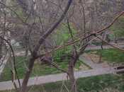 Продаётся 2-комн. вторичка 43.5 м², м. 20 января, photo 7 from 8
