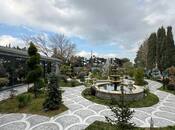 Satılır 6 otaqlı həyət evi/bağ evi 600 m², Novxanı q., photo 4 from 8