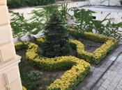 İcarəyə verilir 4 otaqlı həyət evi/bağ evi 200 m², Novxanı q., photo 7 from 8