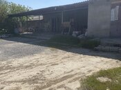 Сдаётся  объект 250 м², пос. Мехтиабад, photo 5 from 5