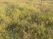Участок - пос. Горадил - 2 сот