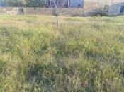 Участок - пос. Горадил - 2 сот