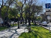 3 otaqlı köhnə tikili - Elmlər Akademiyası m. - 70 m²