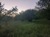 Torpaq - Qəbələ - 35 sot