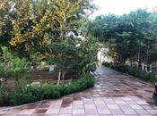 5 otaqlı həyət evi/bağ evi - Novxanı q. - 200 m²