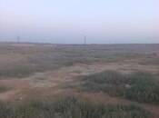 Продаётся  участок 200 сот, пос. Забрат, photo 5 from 5