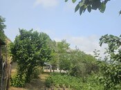 4 otaqlı həyət evi/bağ evi - Lerik - 196 m²