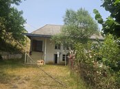 4 otaqlı həyət evi/bağ evi - Lerik - 196 m²