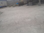 Участок - пос. Бузовна - 4 сот