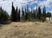 Продаётся  участок 6 сот, пос. Горадил, photo 7 from 8