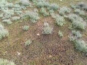 Продаётся  участок 5 сот, пос. Тюркан, photo 1 from 2