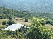 Torpaq - Şamaxı - 12 sot