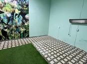 Сдаётся  объект 200 м², м. Насими, photo 5 from 8