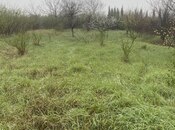 Torpaq - Xaçmaz - 20 sot