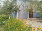 4 otaqlı həyət evi/bağ evi - İsmayıllı - 100 m²