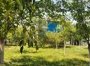 3 otaqlı həyət evi/bağ evi - İsmayıllı - 100 m²